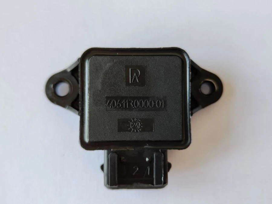 Throttle Position Sensor DPDZ-01 406.113 0000-01