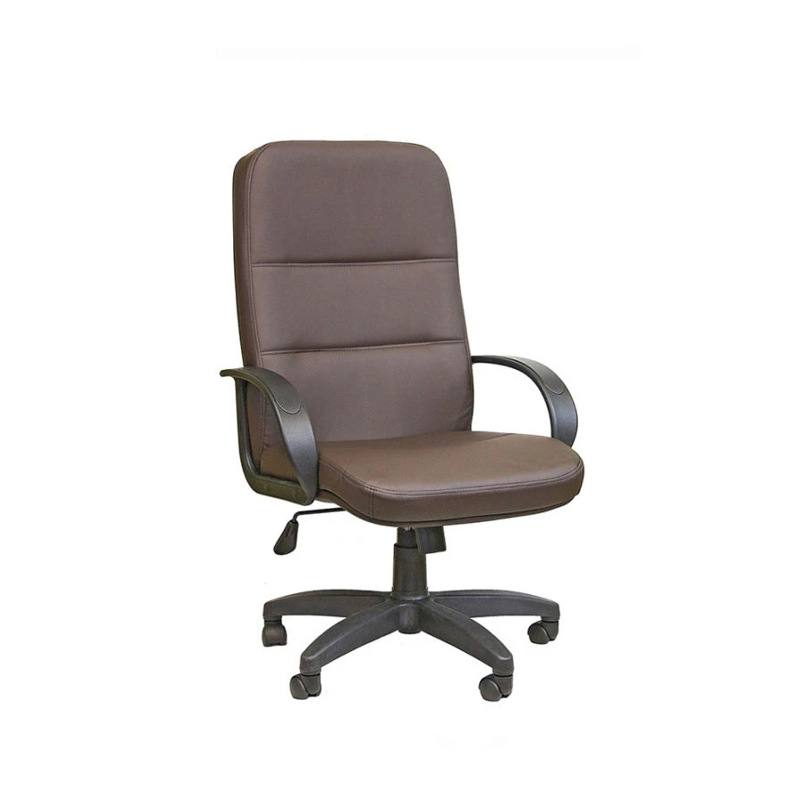 Comfortable Upholstered Armchair with Wooden Frame for Relaxation PILOT