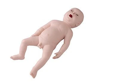 Neonatal Endotracheal Intubation Model for Practical Skills - FA6248