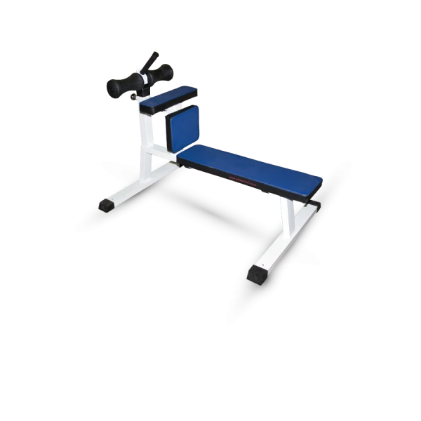 Abdominal Crunch Bench (Roman Chair)