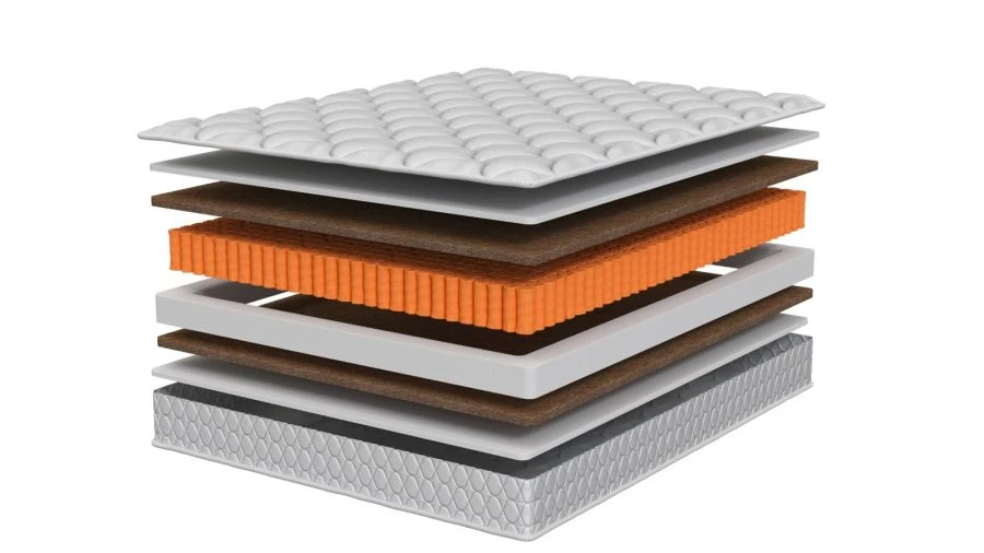 مرتبة أناتومية غاسبارو