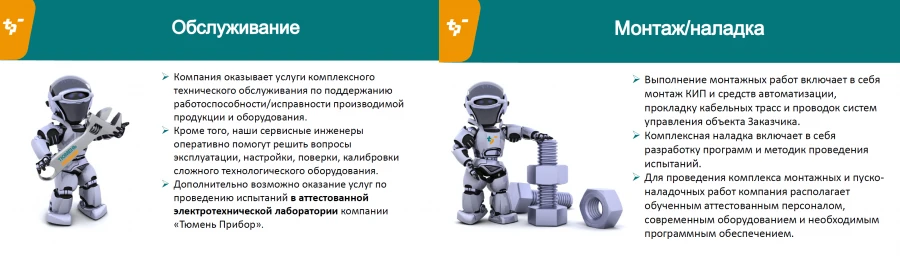 خدمات دعم وصيانة أنظمة الأتمتة (لكل شخص/يوم)