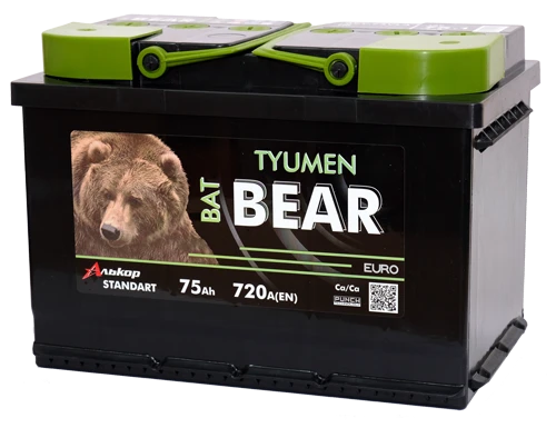 Lead-Acid Starter Battery for Internal Combustion Engines 12V Tyumen BatBEAR
