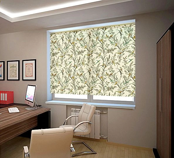 Roller Window Shades - Stylish and Functional Window Protection