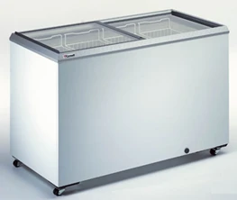 KLIMASAN Deep Freezer D 400 DFSG FF + for Efficient Freezing