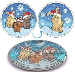 لعبة "المتاهة" ذات الجانبين - رمز السنة