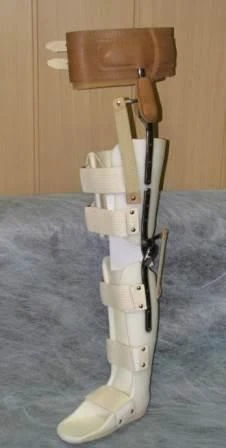 Full Leg Support Apparatus for Mobility and Joint Function