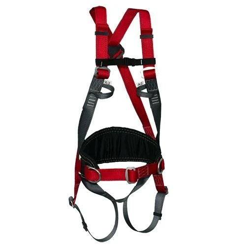 5-Point Safety Harness USP 2J 4 UK