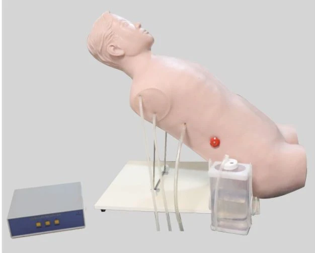 Chest Puncture Training Model CK818/CS6235