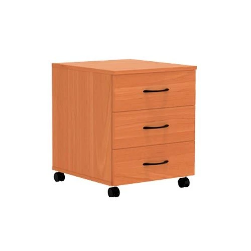 Ergonomic Document Storage Cabinet with 3 Drawers