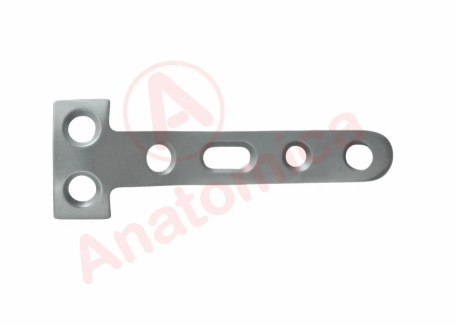 T-Shaped Support Plate for Bone Fracture Fixation
