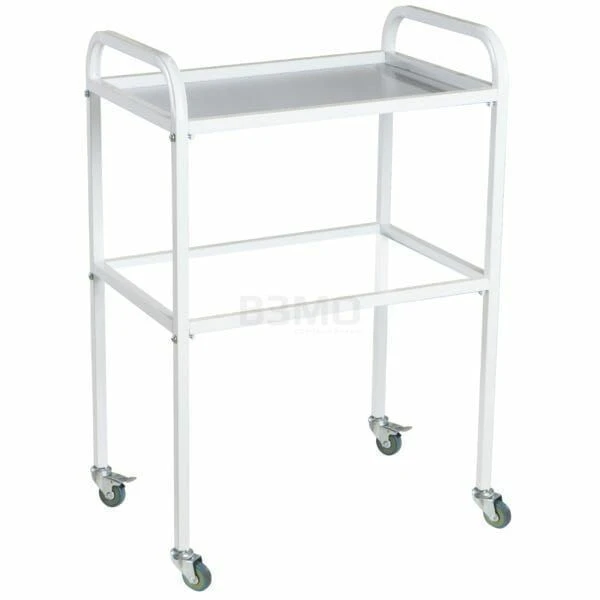 Medical Instrument Table Model SMI-02-N