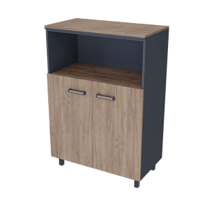 Medium Document Cabinet with Niche PREGO