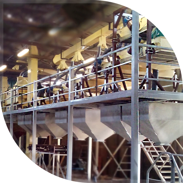 Seed Cleaning and Calibration Line LOKS