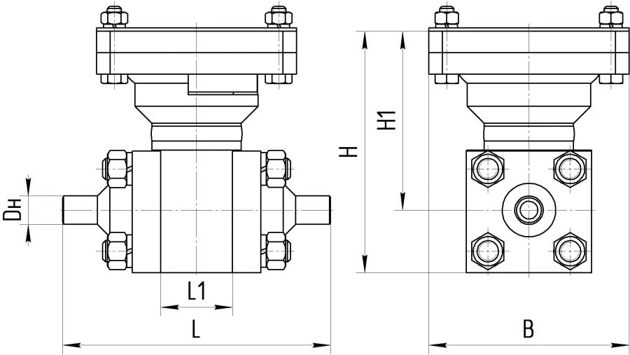 Steel Ball Valve for Sealing and Connecting - ATEK.491811.110