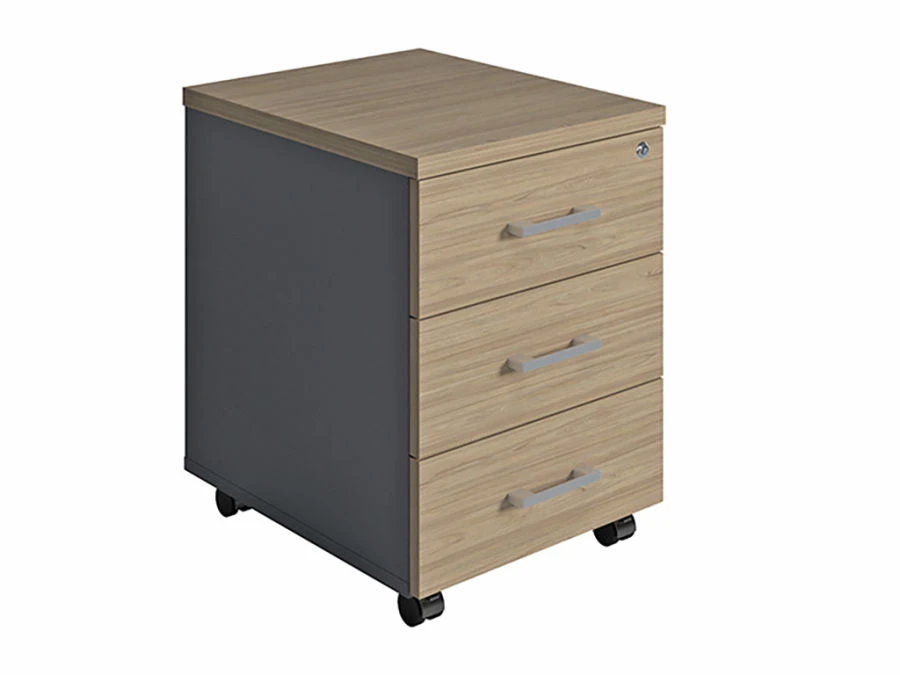 Versatile NPW Series Cabinet for Home and Office Use