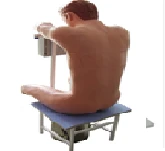 Anatomical Model for Spinal Puncture in the Thoracic Region CK812