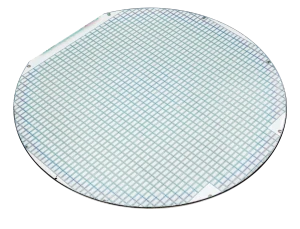 RFID Tags and Chips BRI-002-01