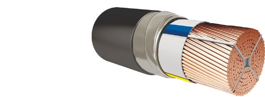 Power Cables with Plastic Insulation for Voltage up to 1kV PвБШп