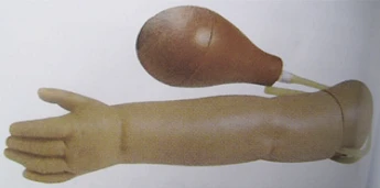 Newborn Hand Model with Arterial Pulse Simulation S37