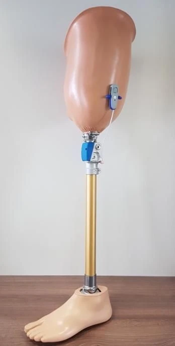 Therapeutic Training Hip Prosthesis PN6-LT.1