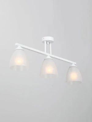 General Purpose Stationary Luminaire V4979-0/3PL