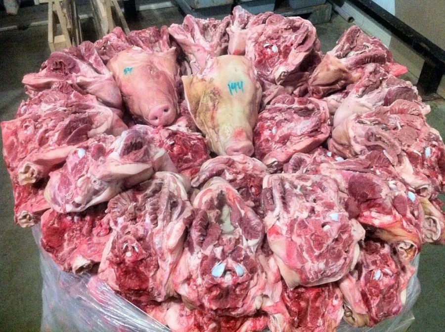 Processed Frozen Pork Offal - Various Cuts and Organs