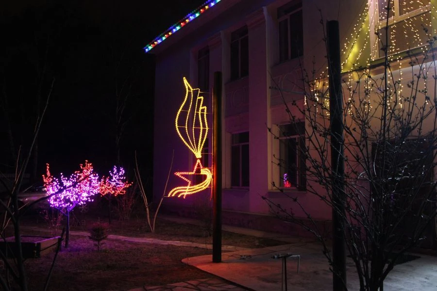 Decorative LED Panel "Flame" Outdoor Light Fixture with Brackets (220V, 24V, 12V)