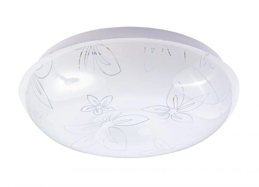 Andromeda LED Wall/Ceiling Light 15W NBB-R-5