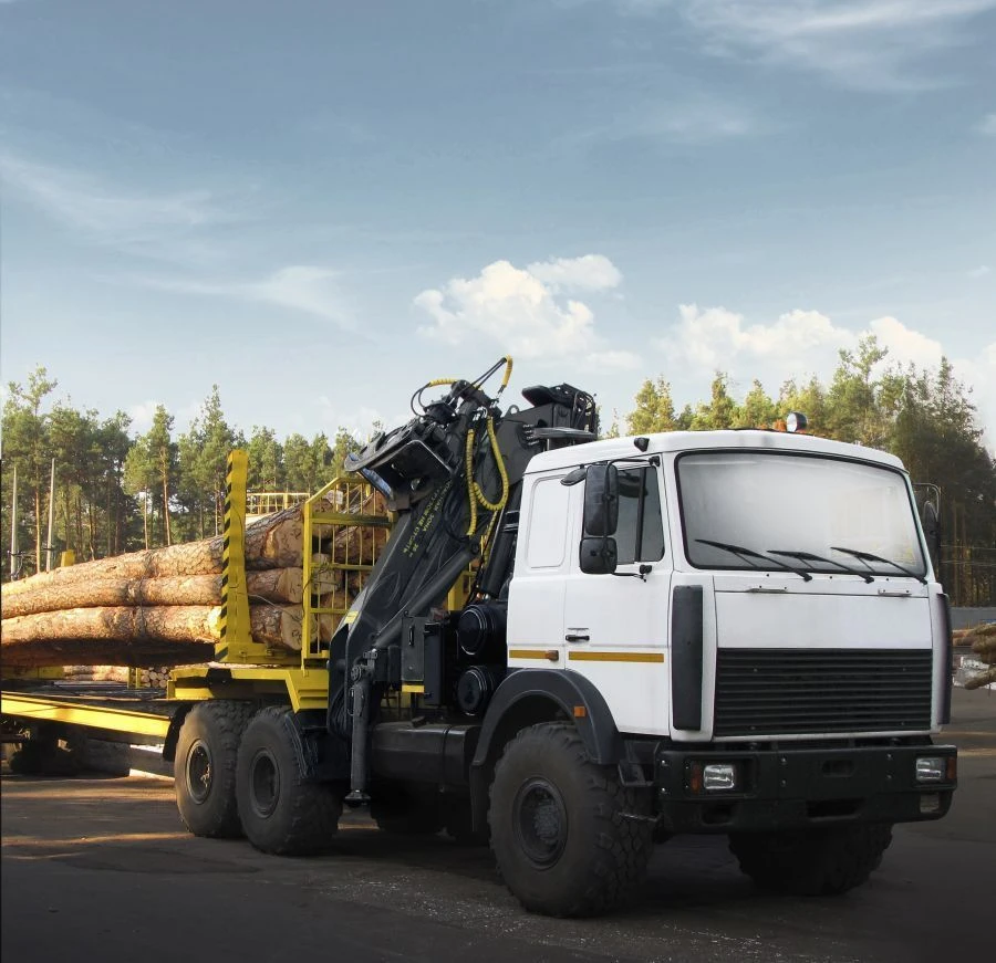 OMTL-120-02 Manipulator Equipment for Loading and Unloading