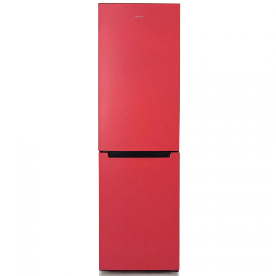 Two-Chamber Refrigerator with Bottom Freezer "Birusa H880NF