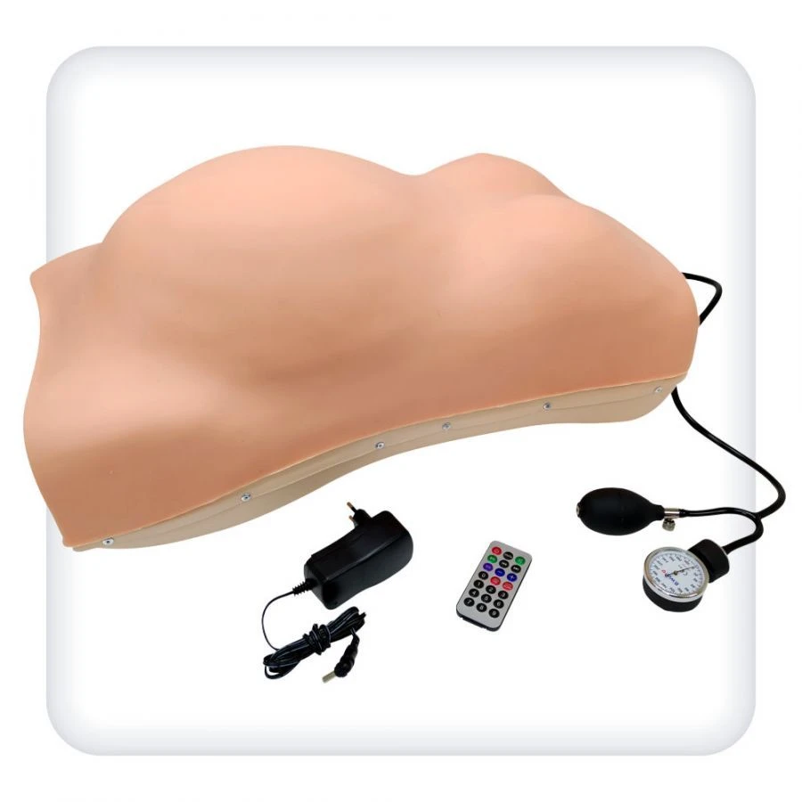 Phantom Model M1101 for Obstetric Examination
