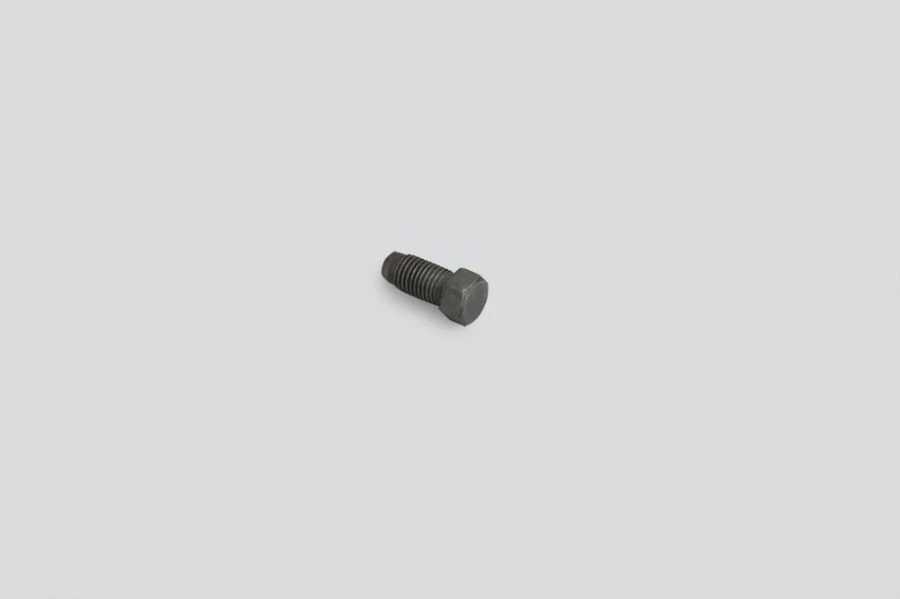 Gear Shift Locking Screw 046900170211000