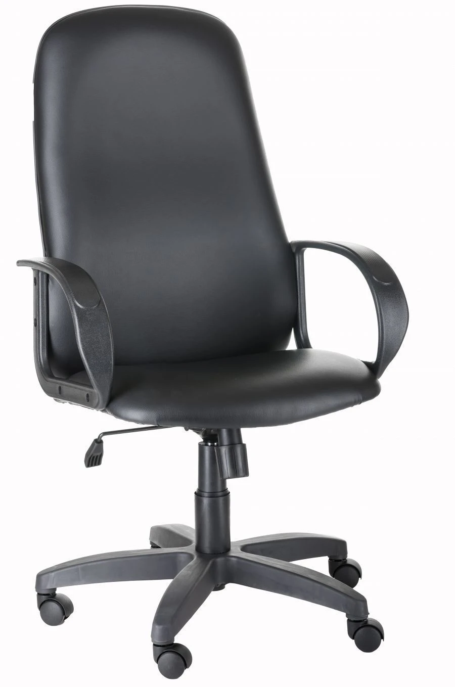 Ergonomic Ambassador Chair