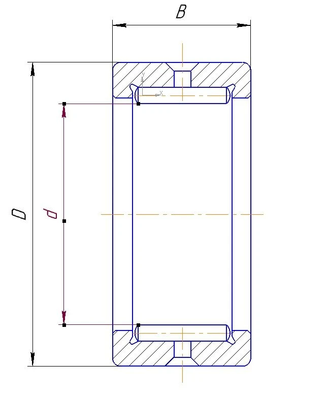 Needle Bearing 4024103-ETU 100/5
