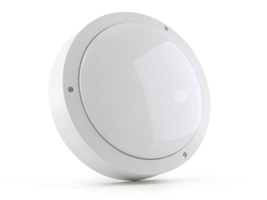 LED Wall Lights Series EG-DBP for Industrial Use