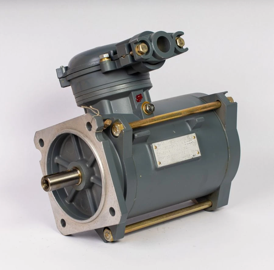 Explosion-Proof Asynchronous Motor AIM-A100 L2