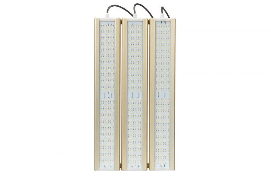 Gold Universal LED Light Module U-3, 4000K, 372W