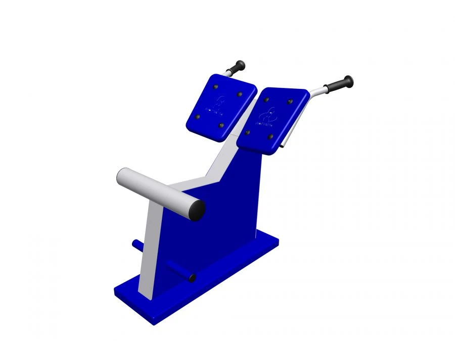 جهاز تمرين خارجي ثابت لتقوية الظهر رومانا 207.04.01