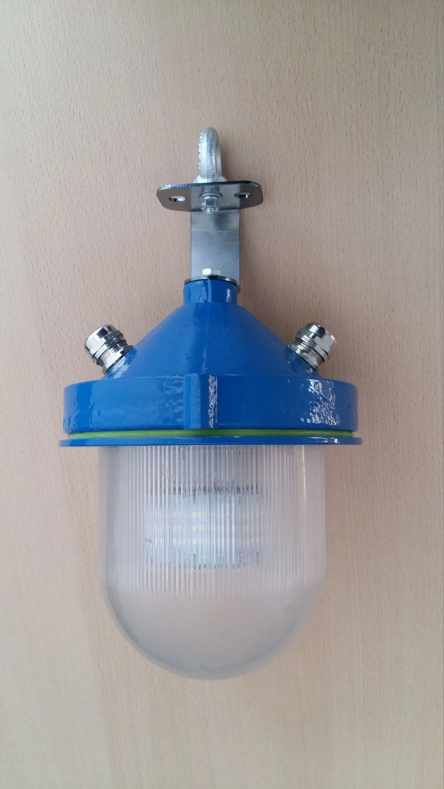 LED Light DSP-SK-20-78-05-M-IP65 for Main and Emergency Lighting