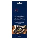 مجموعة أقلام الرصاص الملونة "فيستا أرتيستا" "غاليري" VGCP-12