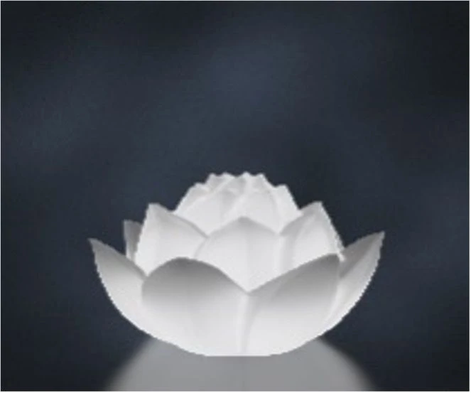 Elegant Lotus Flower-Shaped Light Fixture, Model 210