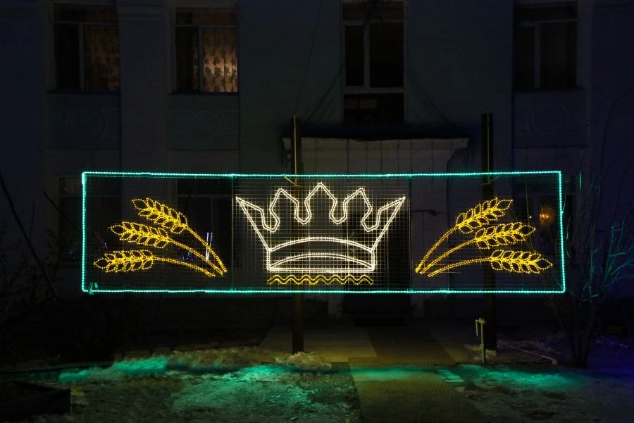 ضوء LED الزخرفي الخارجي "تاج" - ضوء خيط زخرفي (220 فولت، 24 فولت، 12 فولت)