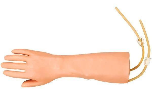 Life-Size Hand and Forearm Model for IV Injections, S4A IV