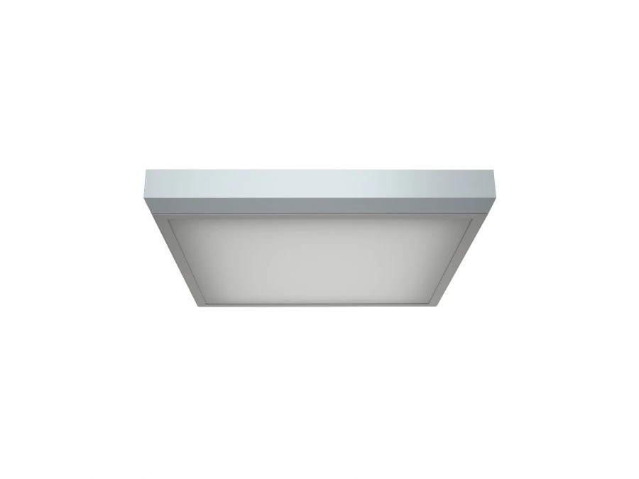 LED Ceiling Light ECO LED/S (1200x600)