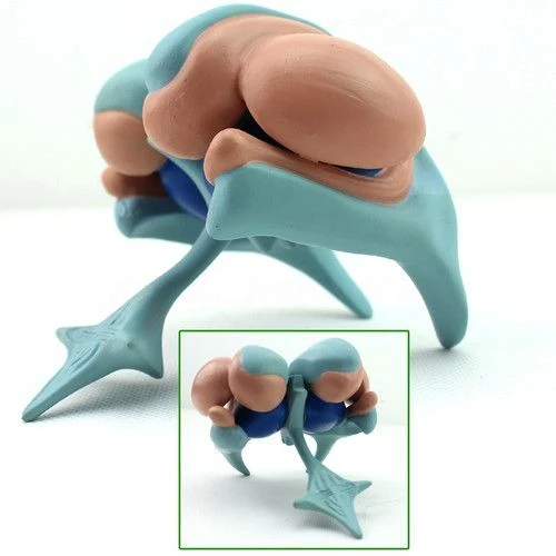 Life-Size Brain Ventricle and Basal Nuclei Model 18207