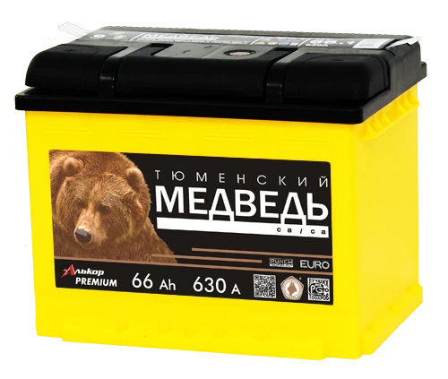 Lead Acid Starter Battery for Internal Combustion Engines 12V Tumen Bear 6СТ-66VLA