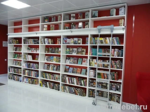 Sectional shelving unit with ladder ST-3