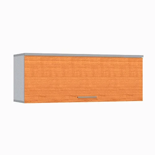 رف حائط مركب مع باب على الحوامل نموذج PN-4