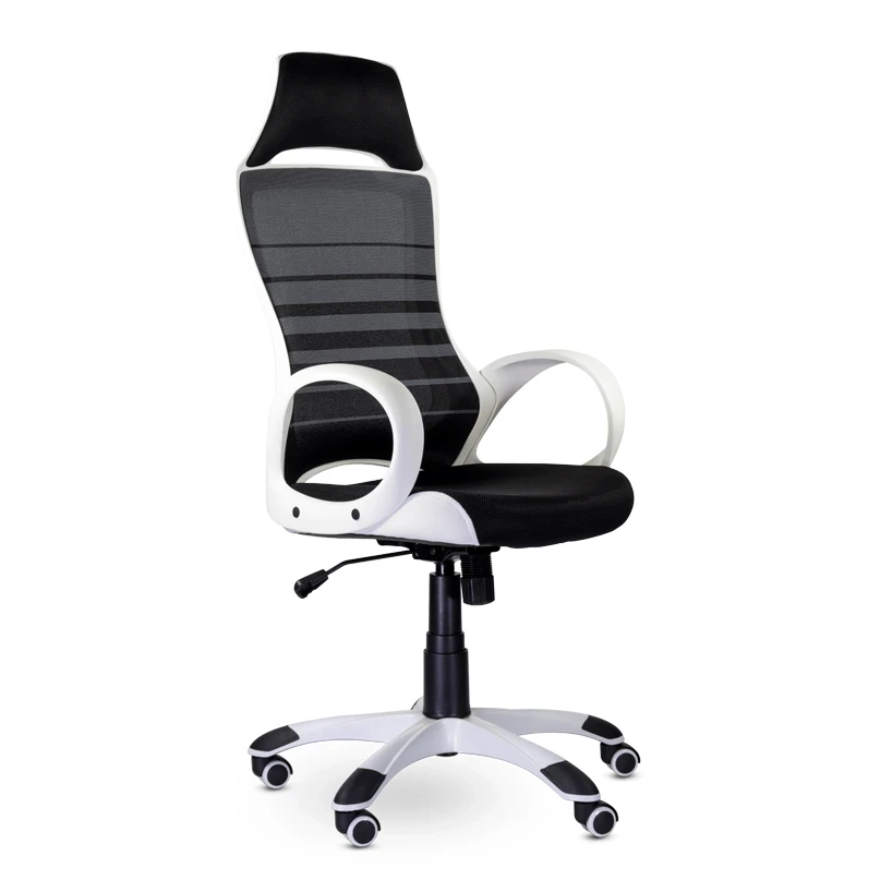 Tesla Ergonomic Office Chair